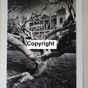 Tropical Climate Photo Sale